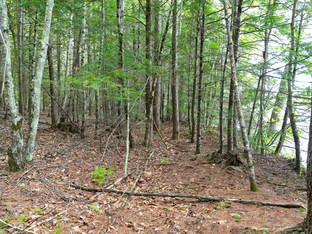 $995,000 | 0 Osprey Point, Belgrade, ME 04917