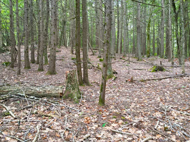 $995,000 | 0 Osprey Point, Belgrade, ME 04917