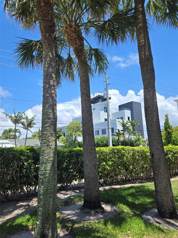 505 Northeast 20th Avenue, Unit 118 Deerfield Beach, FL 33441 - Photo 11 of 22 a front view of a garden with palm trees