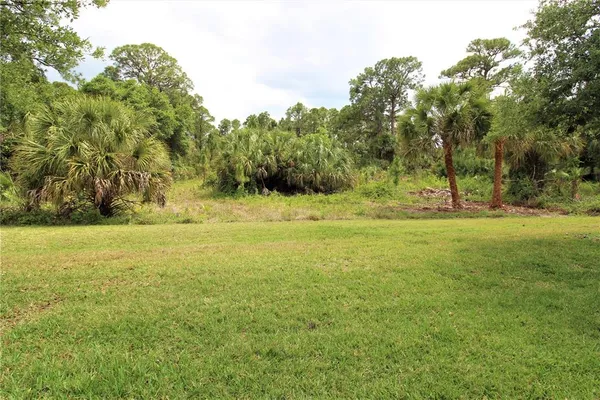 a front view of house with yard and palm tree