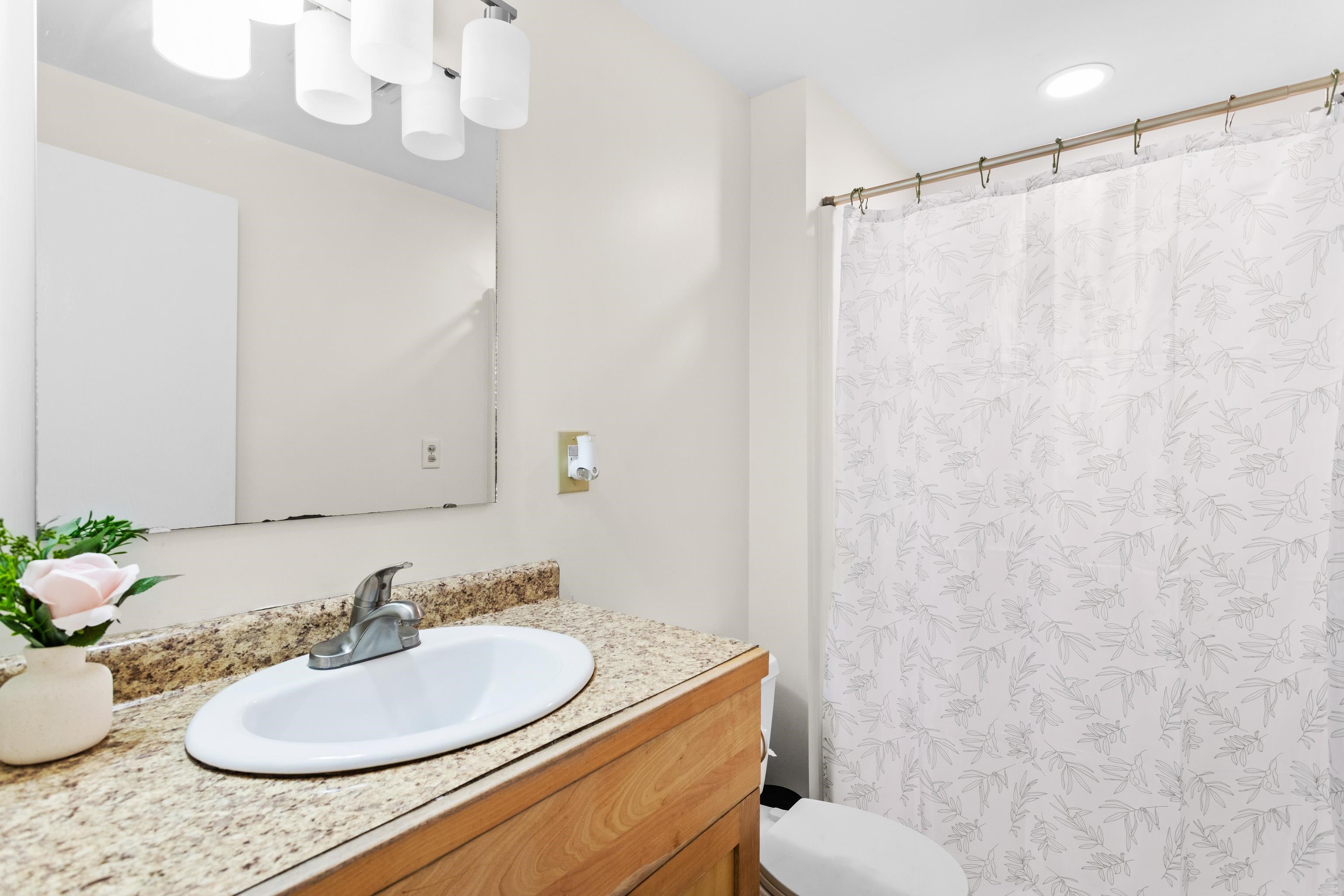 10 Rockingham Court Bedford, NH 03110 - Photo 15 of 36 Gallery Image 15