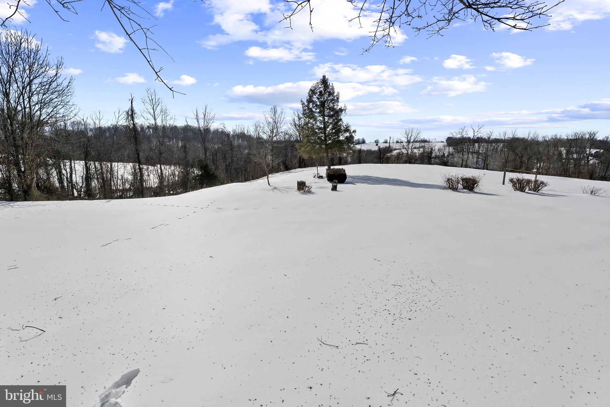 7823 Timmons Road Mount Airy, MD 21771 - Photo 38 of 38 a view of the terrace