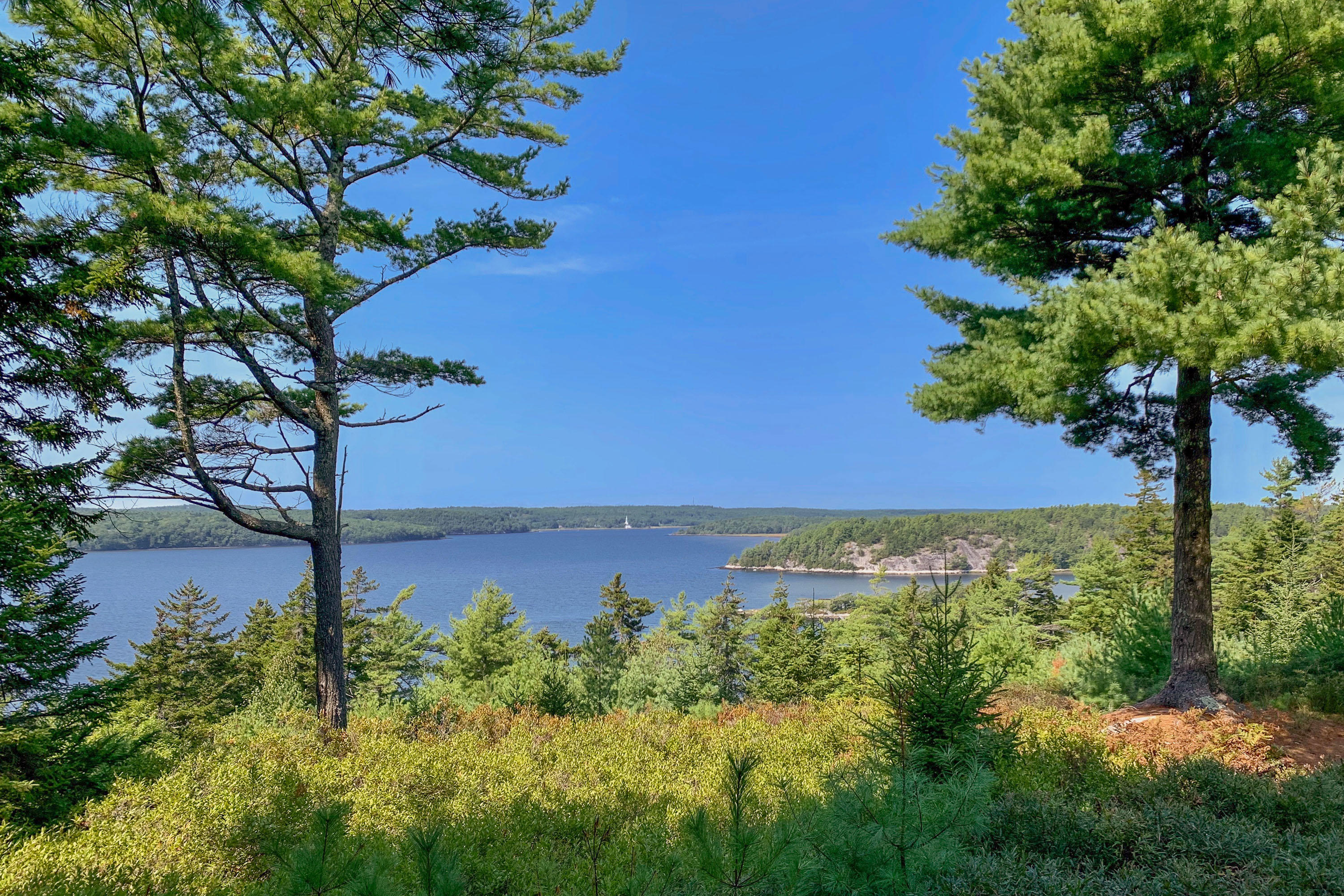 Lot #5 Rotunda Hill Road Georgetown, ME 04548 - Photo 19 of 20 19_5 Rotunda Hill Rd_PGM_Print