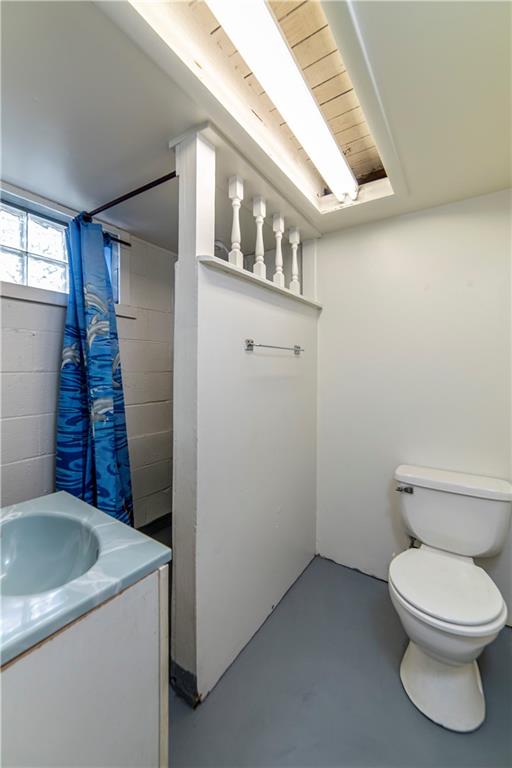 545 Benjamin Street Tarentum, PA 15084 - Photo 15 of 17 Bathroom in unfinished portion of basement