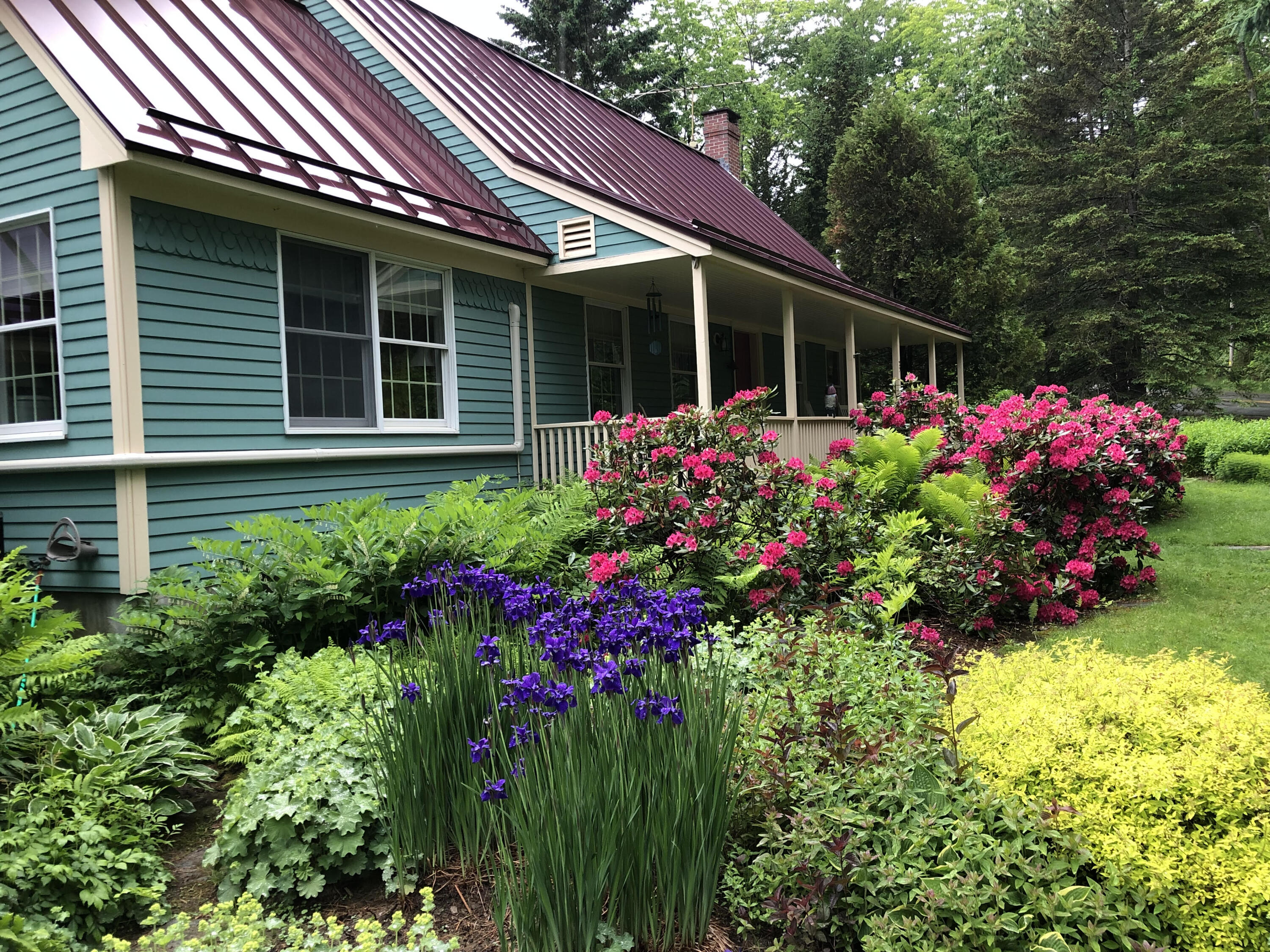 73 Head Of The Tide Road Belfast, ME 04915 - Photo 11 of 45 Front Landscaaping