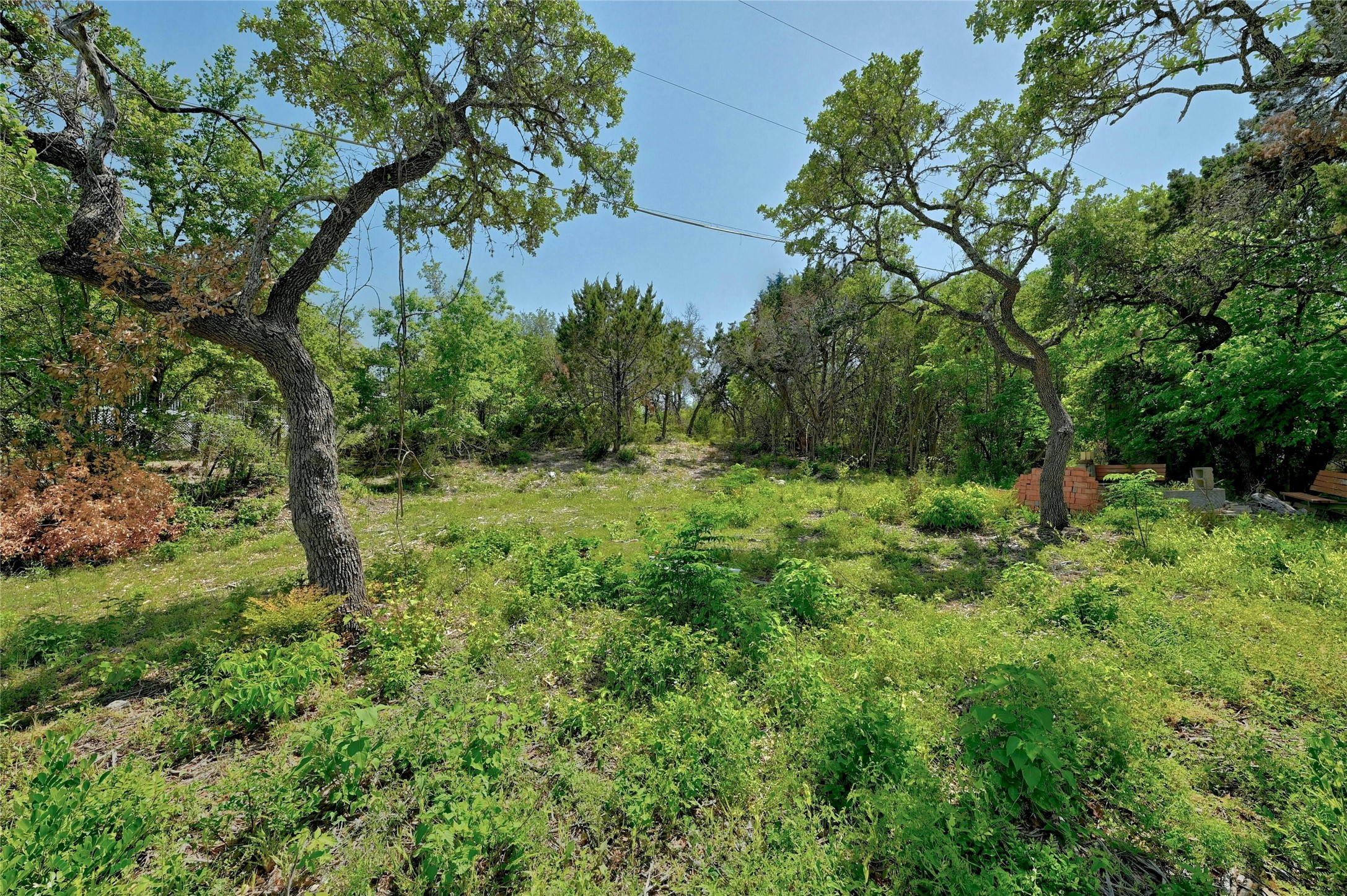 5008 Serrano Trail Austin, TX 78734 - Photo 9 of 21 View of undeveloped land