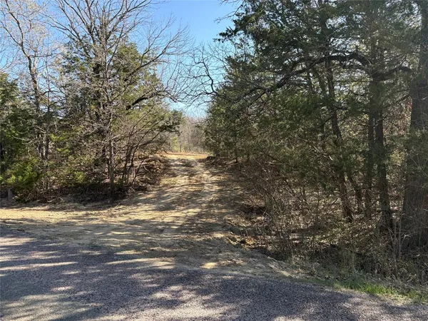 $125,000 | Tbd Stribbling Lane, Whitesboro, TX 76273