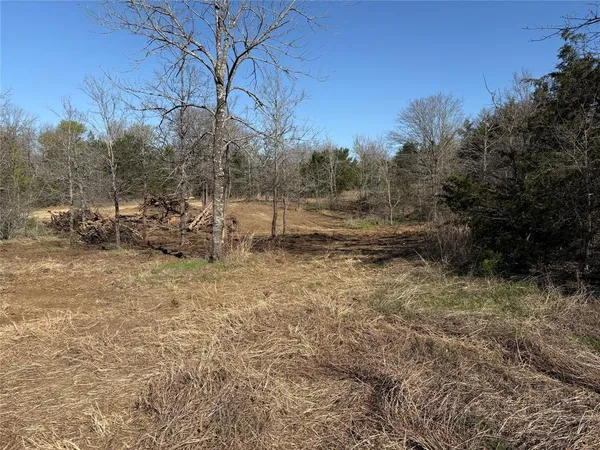 $125,000 | Tbd Stribbling Lane, Whitesboro, TX 76273