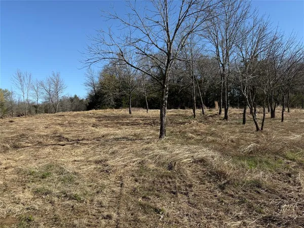 $125,000 | Tbd Stribbling Lane, Whitesboro, TX 76273