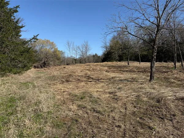$125,000 | Tbd Stribbling Lane, Whitesboro, TX 76273