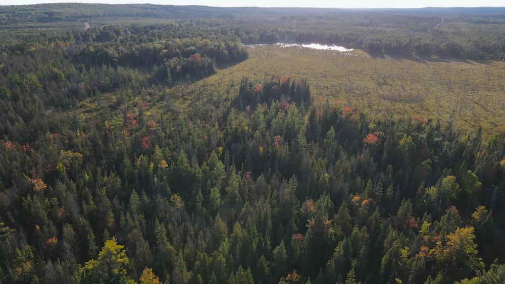 Vl River Lake Road Roscommon, MI 48653 - Photo 26 of 35