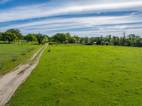 a big yard with lots of green space and plants