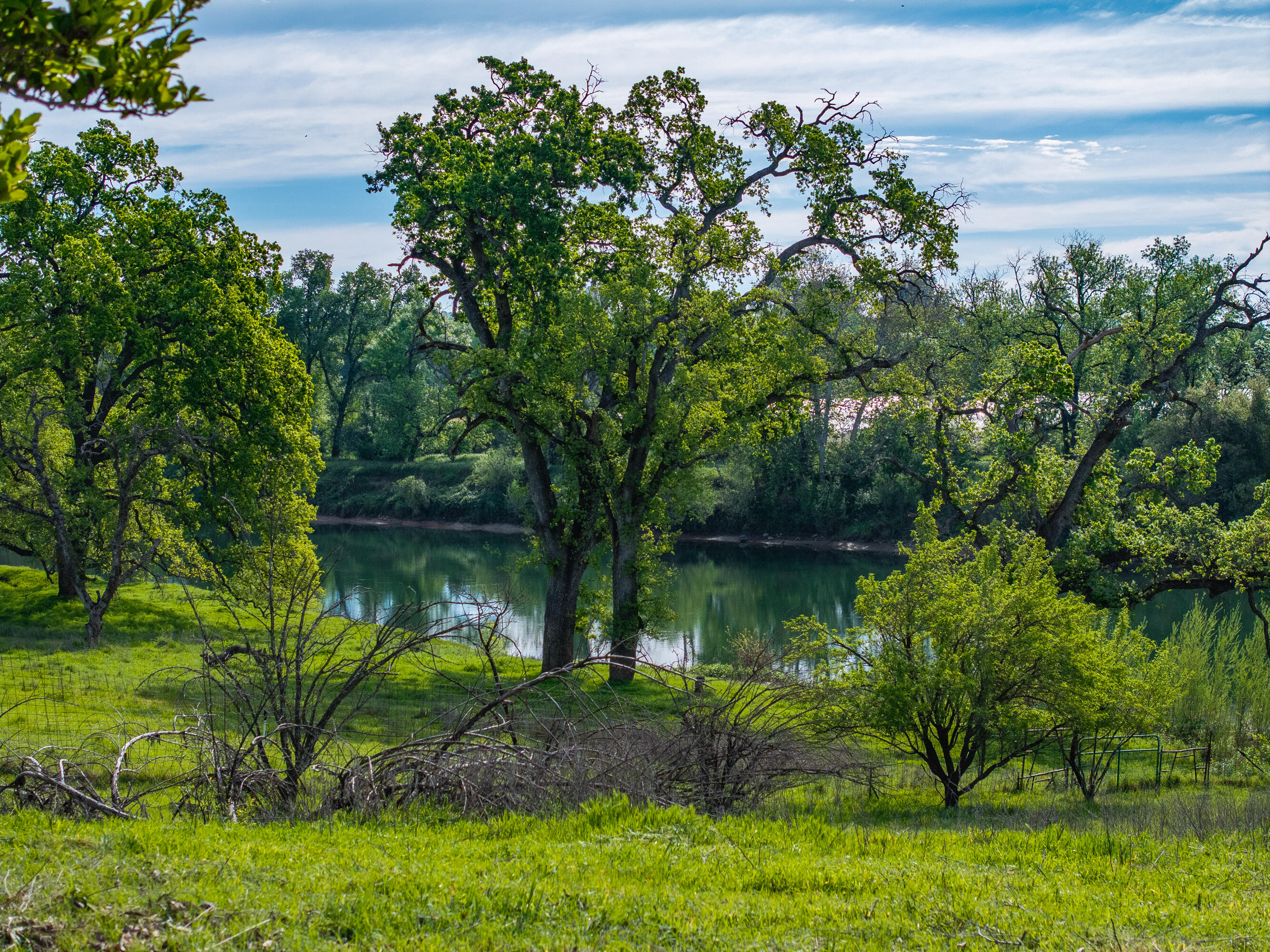 22080 Forbes Way Red Bluff, CA 96080 - Photo 28 of 42 a backyard of a house with lots of green space
