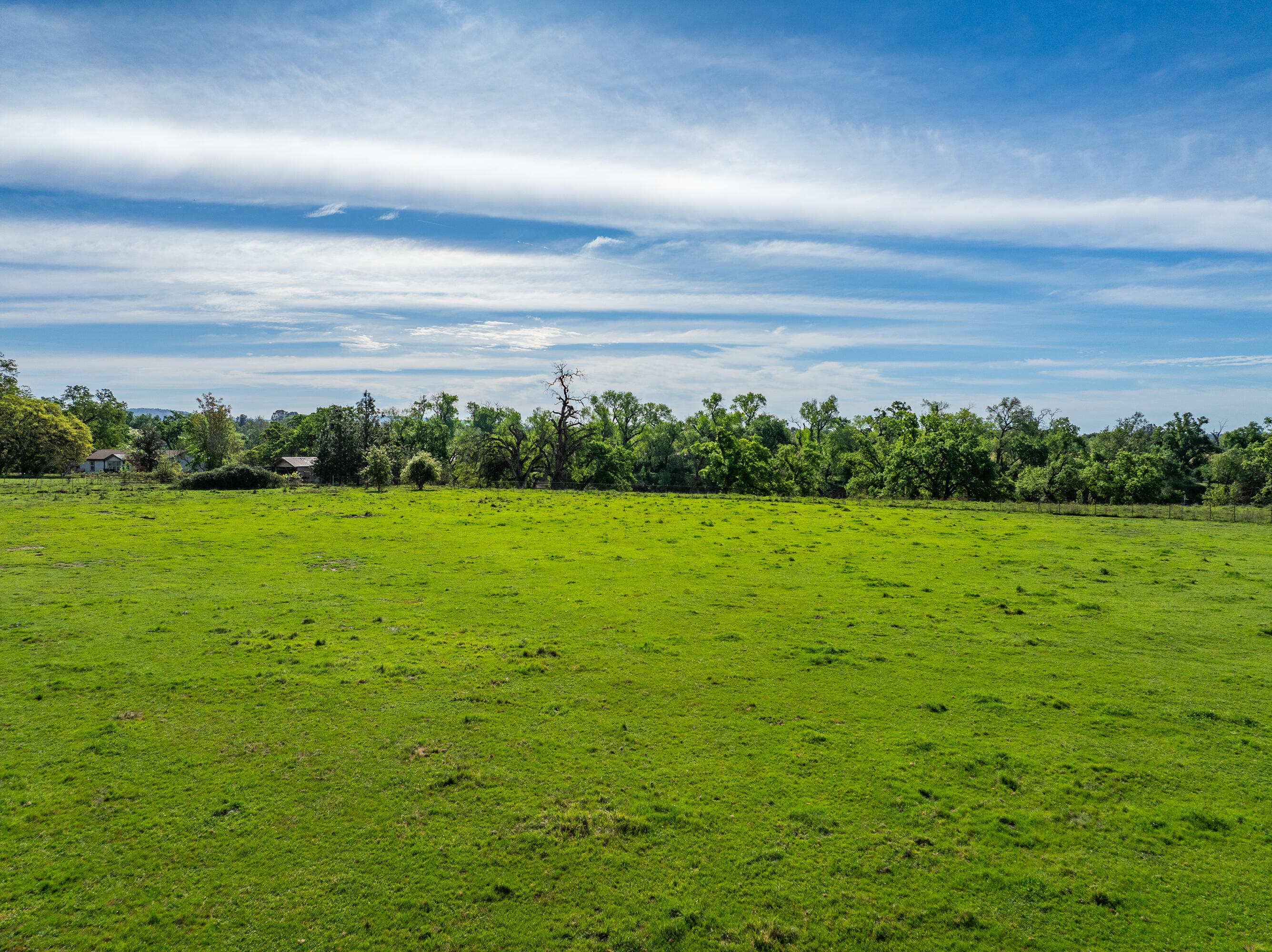 22080 Forbes Way Red Bluff, CA 96080 - Photo 29 of 42 a view of a big yard with large trees