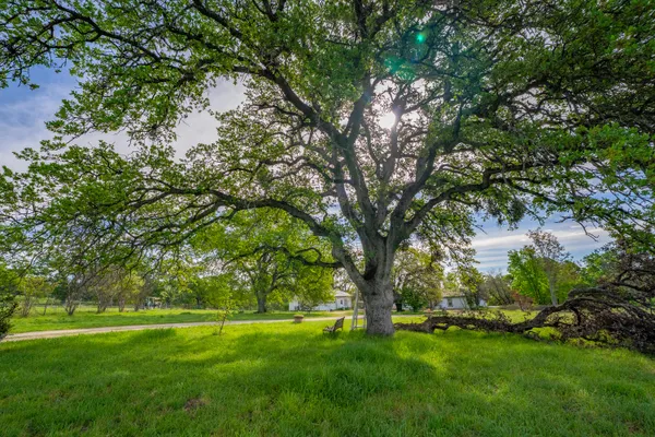 $899,000 | 22080 Forbes Way, Red Bluff, CA 96080