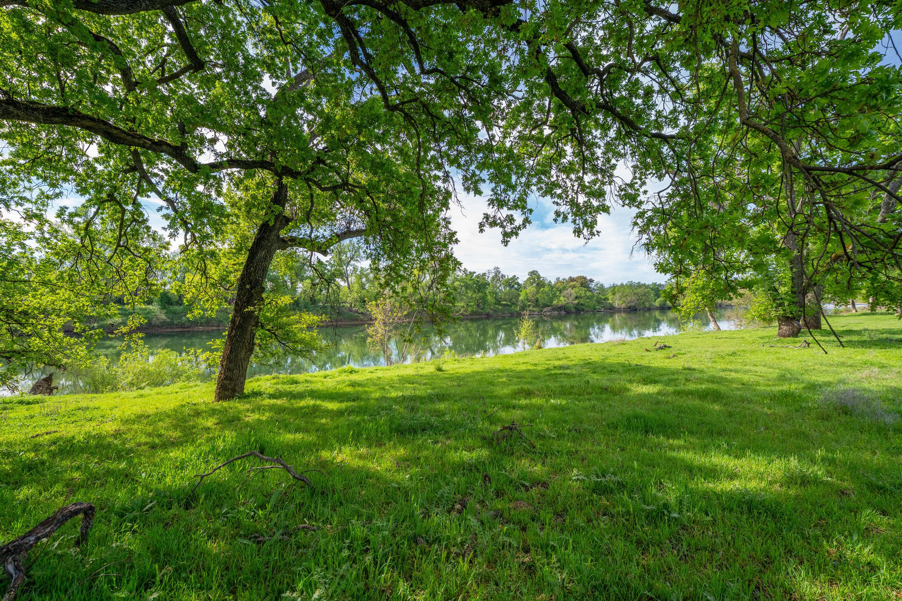 22080 Forbes Way Red Bluff, CA 96080 - Photo 34 of 42 a big yard with lots of green space and trees
