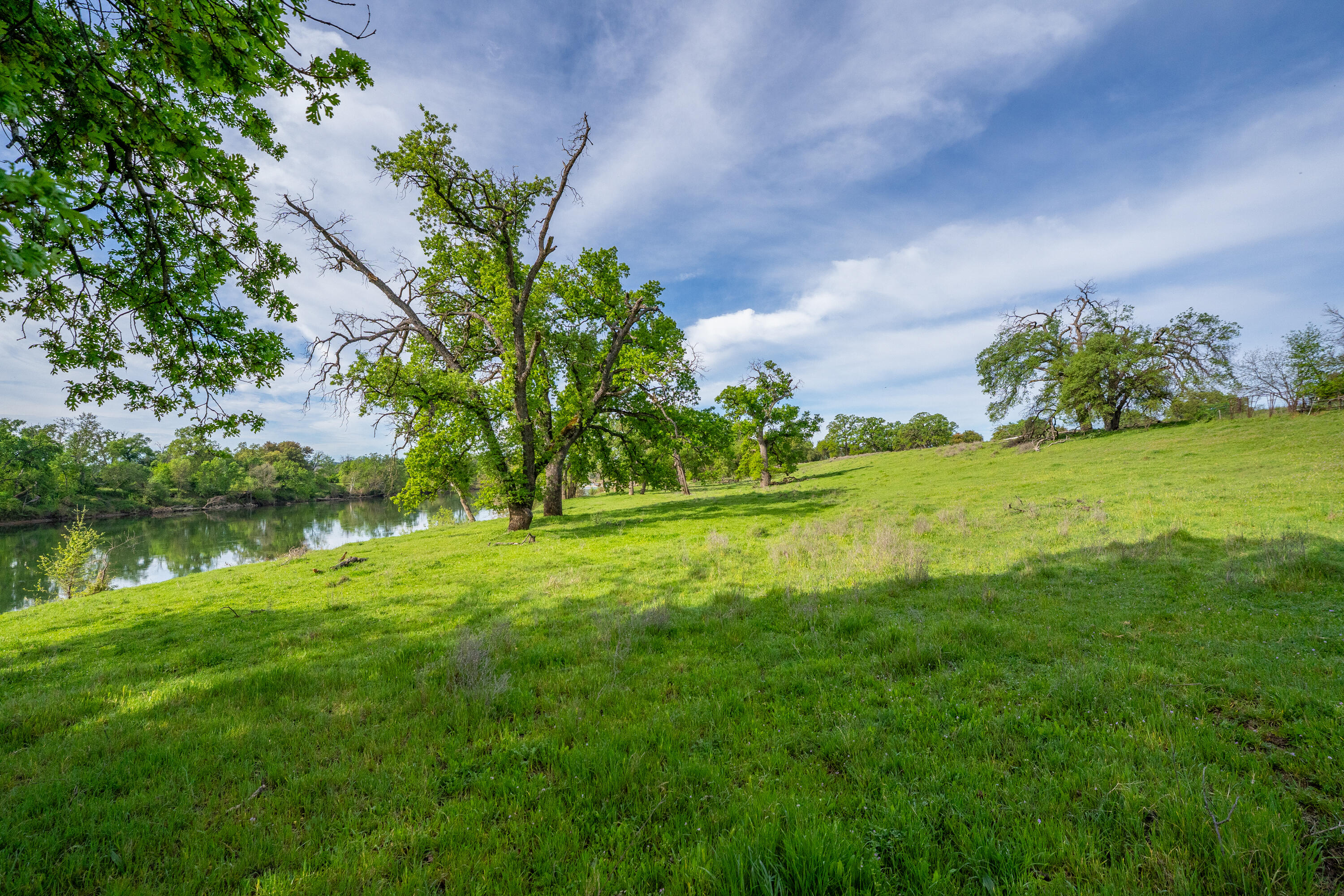 22080 Forbes Way Red Bluff, CA 96080 - Photo 35 of 42 a view of a garden with a lake