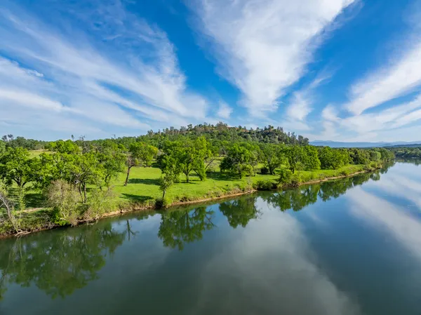 a view of a trees in a yard