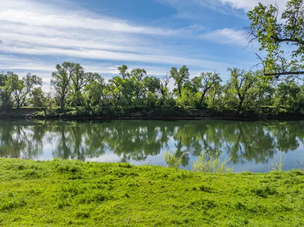 a view of a garden with an outdoor space