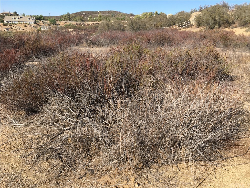 0 Mark Trail Hemet, CA 92544 - Photo 13 of 15 a view of lake with mountain