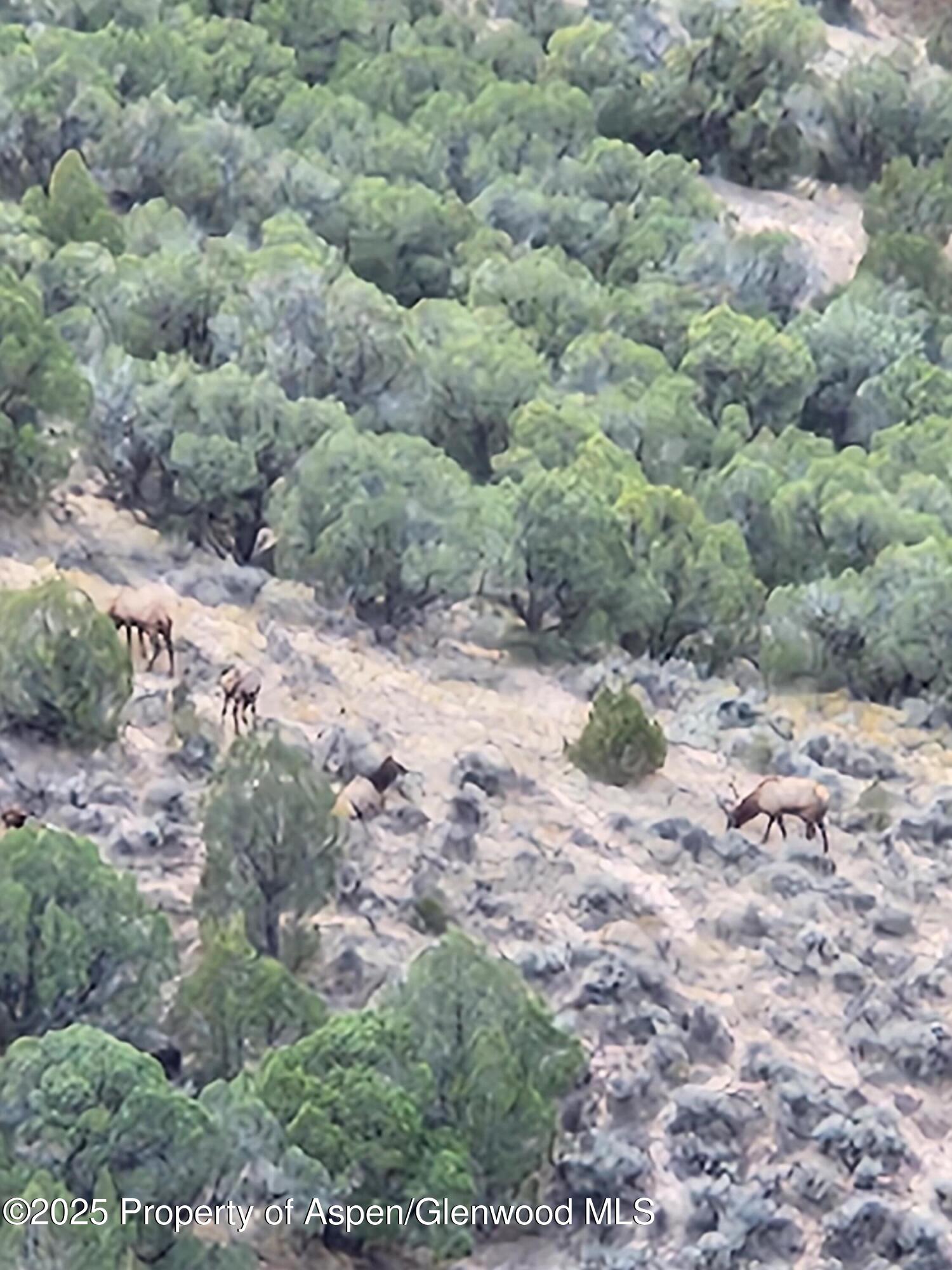 4472 V 5/10 Road De Beque, CO 81630 - Photo 44 of 46 1000008210
