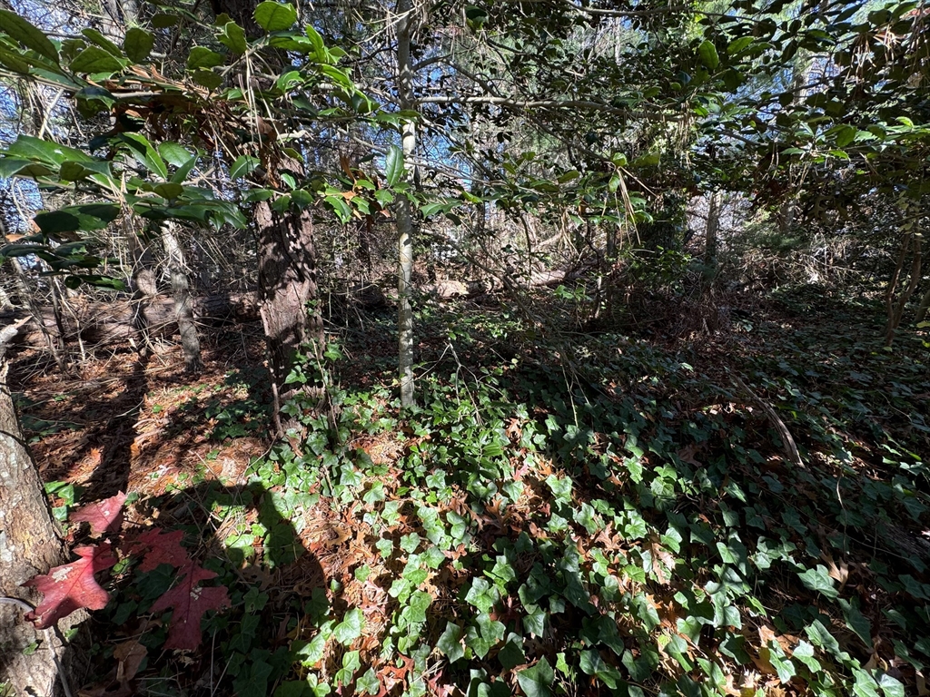 60 Richards Lane Barnstable, MA 02632 - Photo 14 of 21