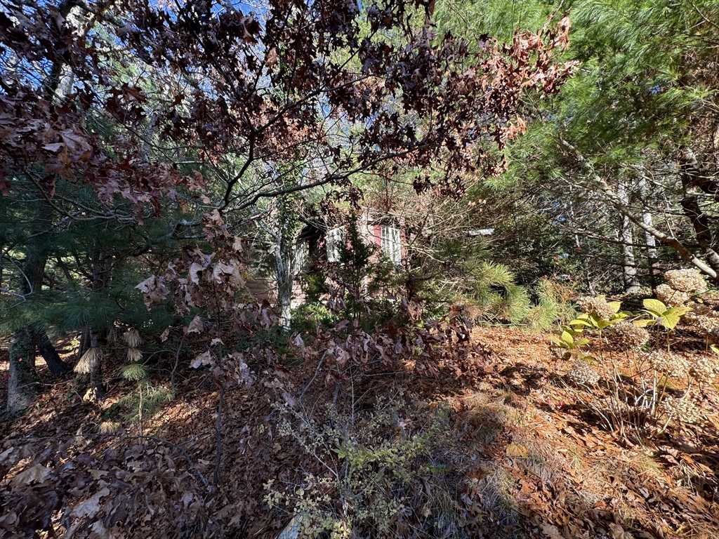 60 Richards Lane Barnstable, MA 02632 - Photo 3 of 21