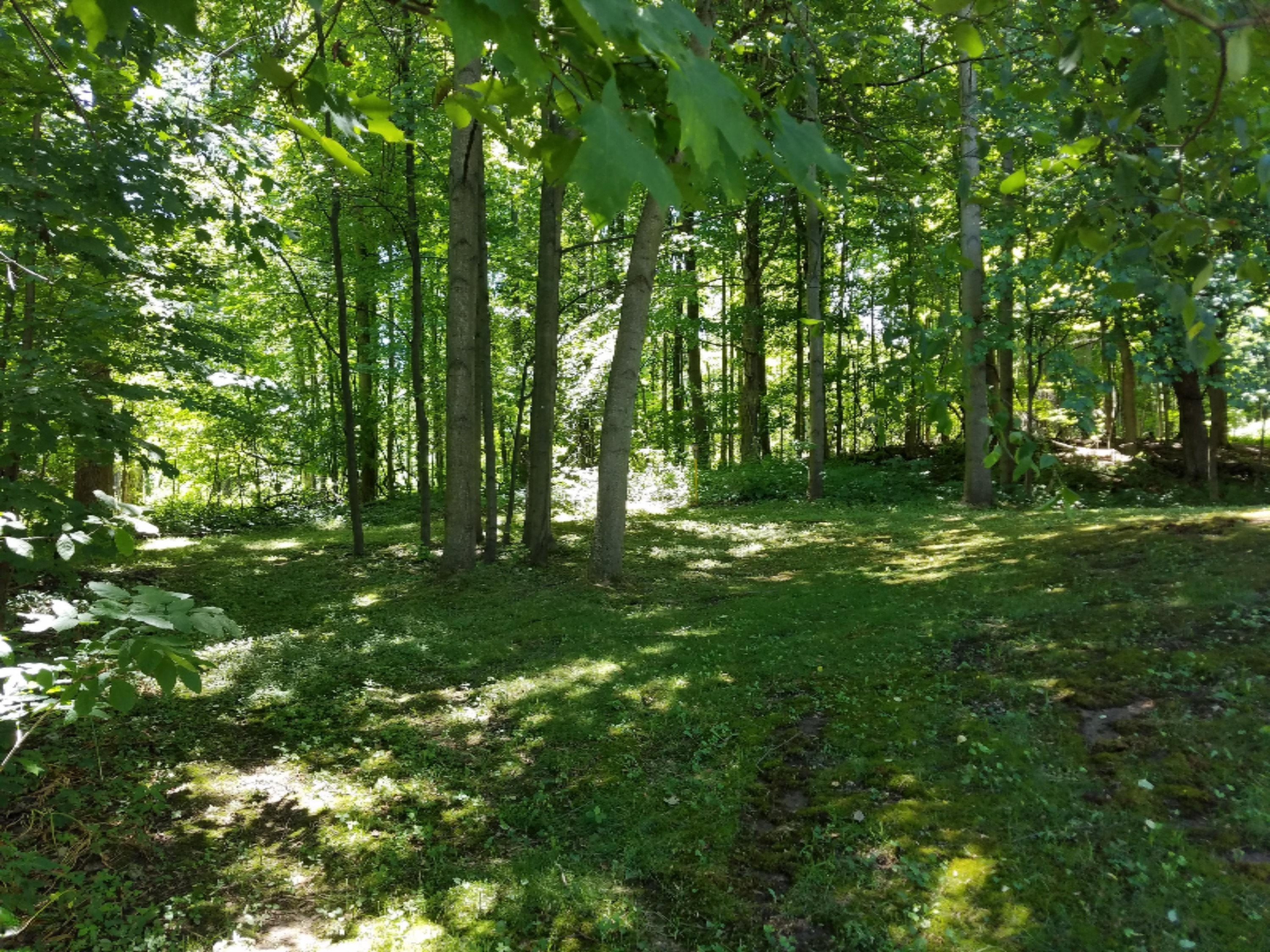 19356 Hudson Lake Road Galien, MI 49113 - Photo 54 of 62 20200625_133356