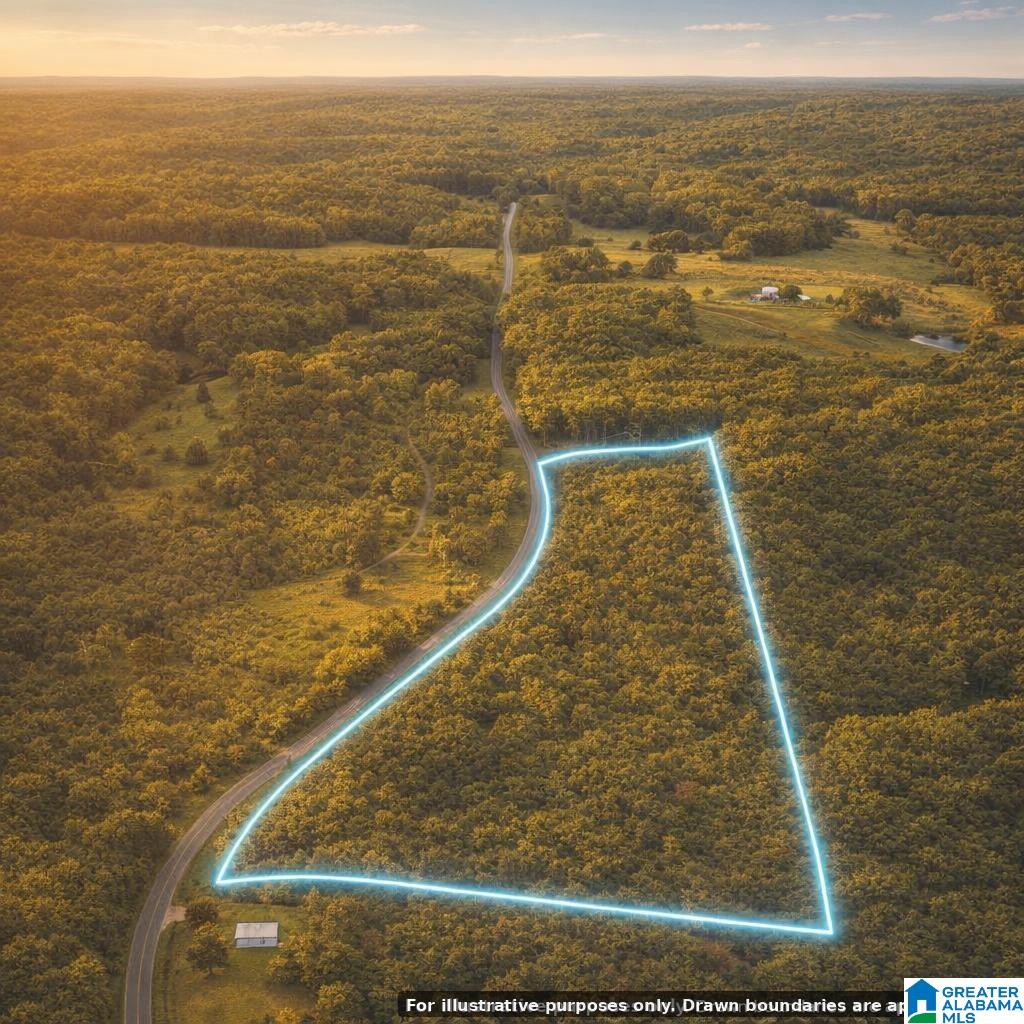 0 Bluff Springs Road, Unit X Ashland, AL 36251 - Photo 6 of 9
