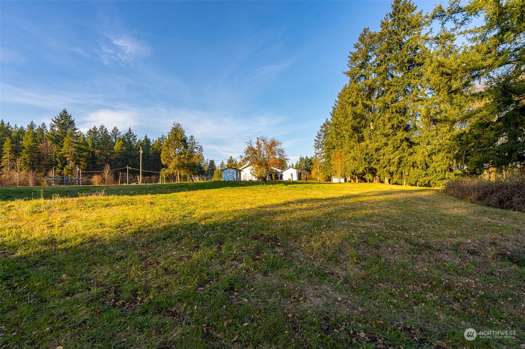 431 Tucker Road Toledo, WA 98591 - Photo 23 of 40 a view of yard with green space