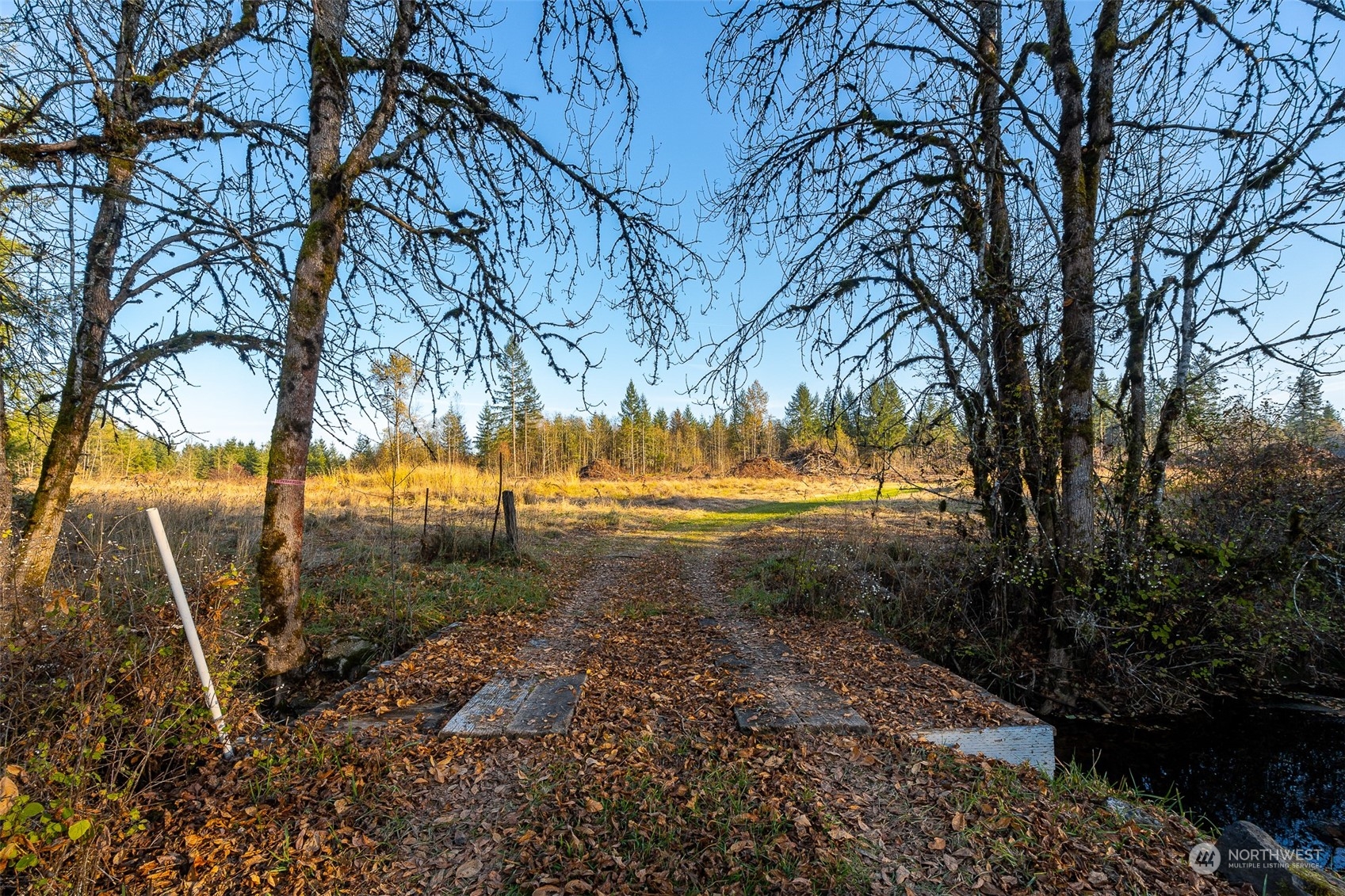 431 Tucker Road Toledo, WA 98591 - Photo 29 of 40 a view of dirt yard with a large tree
