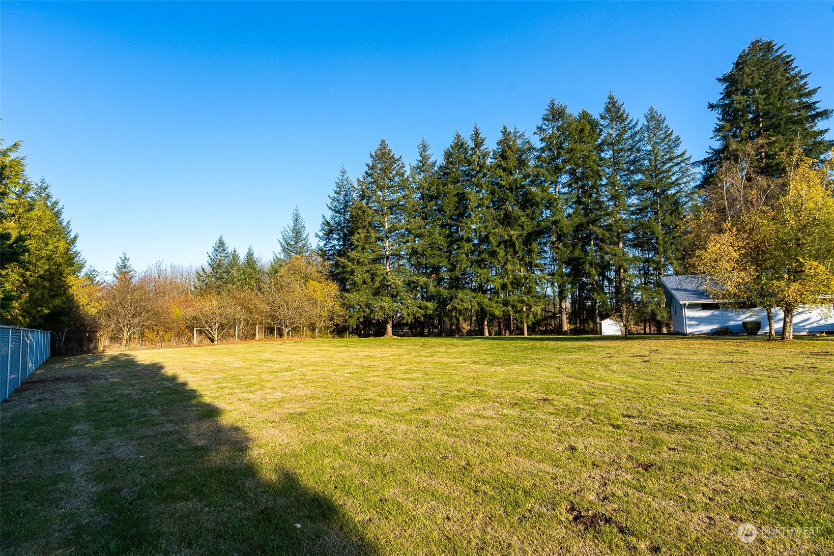431 Tucker Road Toledo, WA 98591 - Photo 3 of 40 a view of yard with trees and grass
