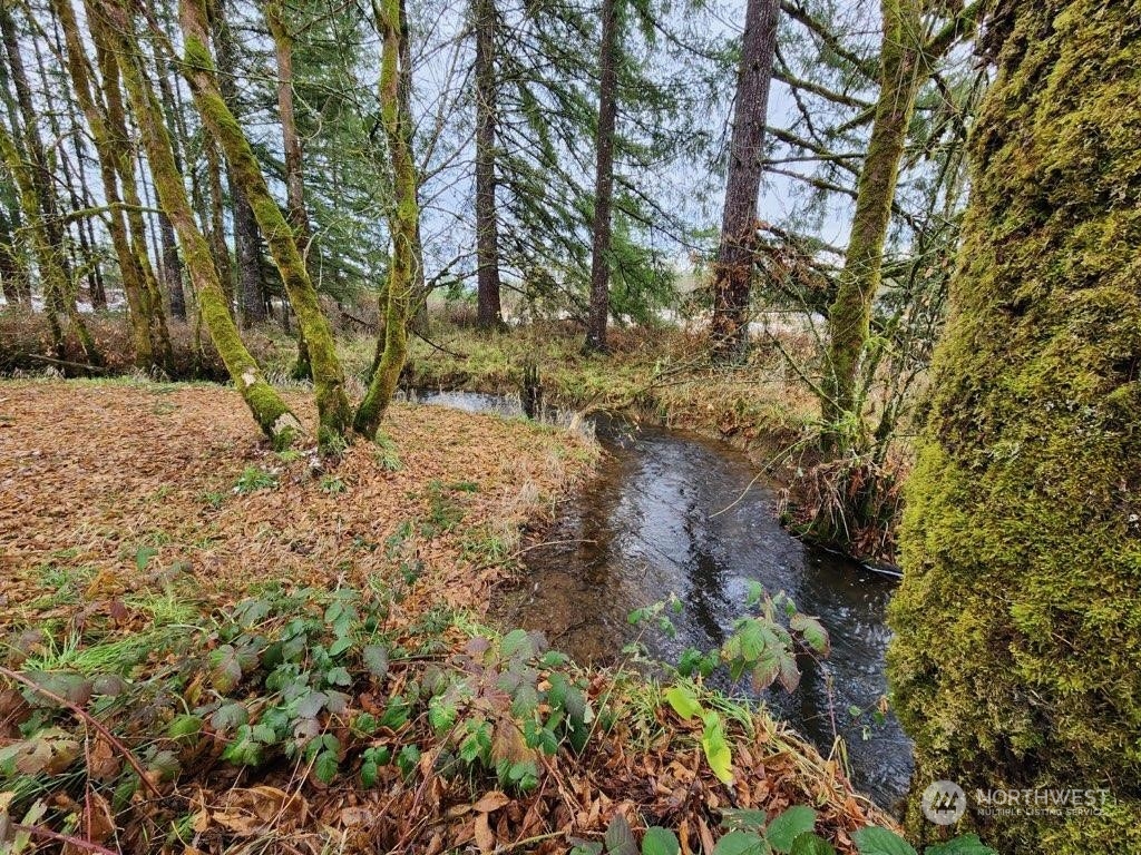 431 Tucker Road Toledo, WA 98591 - Photo 34 of 40 a view of a yard with plants and trees