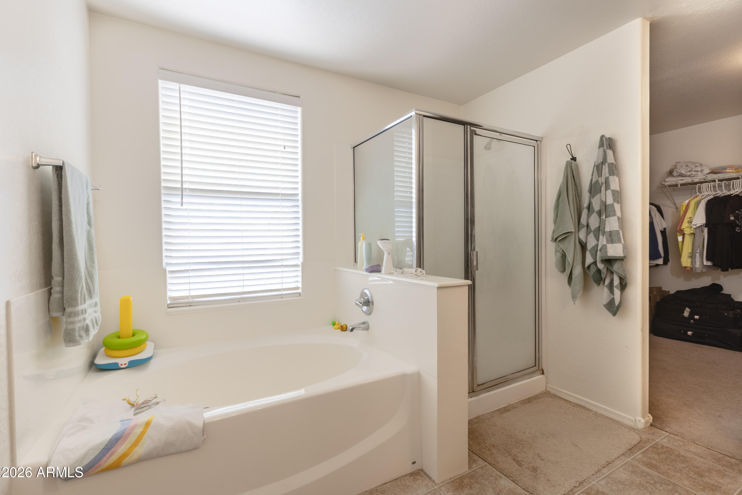 45793 West Tucker Road Maricopa, AZ 85139 - Photo 27 of 31