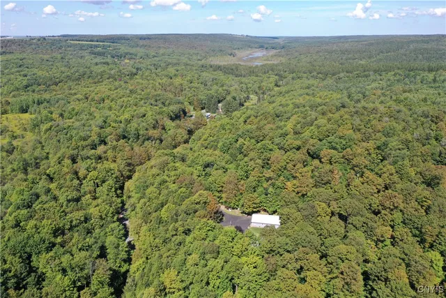 $519,900 | 2332 Bear Swamp Road, Sempronius, NY 13118