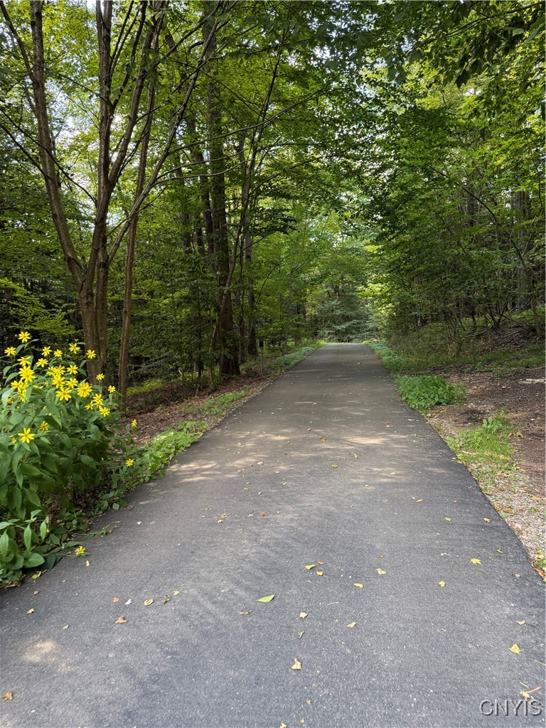 2332 Bear Swamp Road Sempronius, NY 13118 - Photo 18 of 50