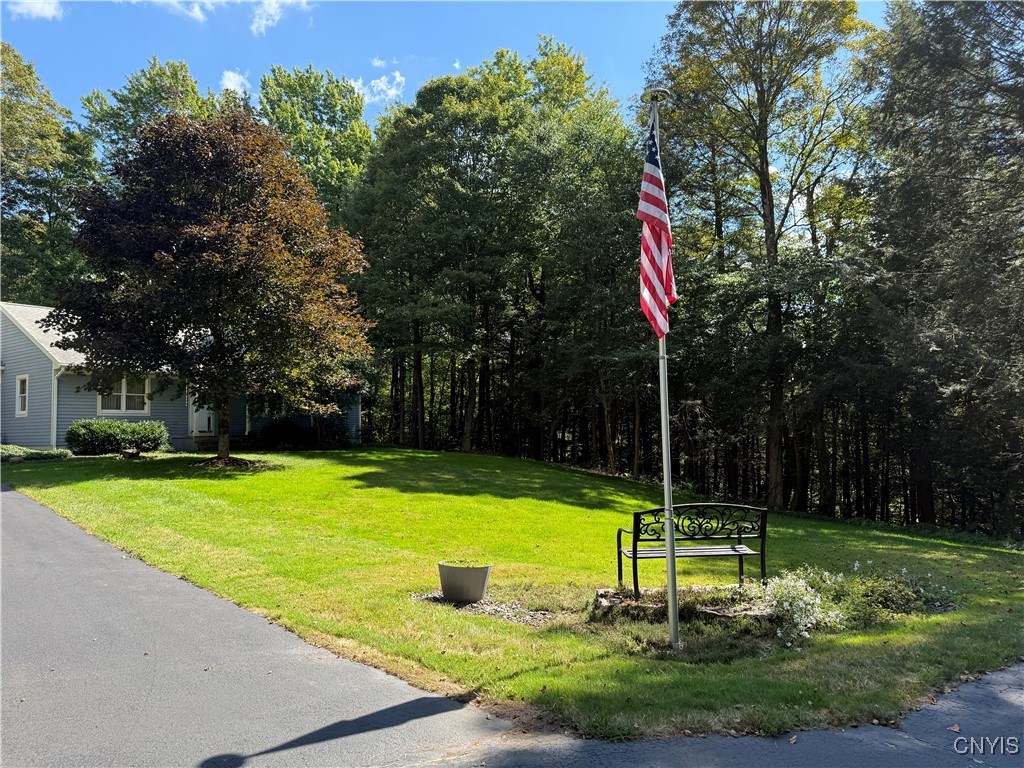 2332 Bear Swamp Road Sempronius, NY 13118 - Photo 6 of 50