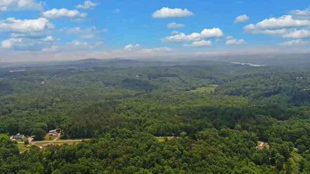a view of a bunch of trees in background