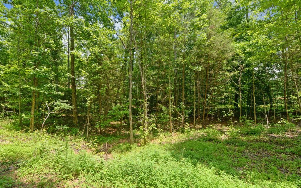 6755 Jake Kemp Road Murrayville, GA 30564 - Photo 12 of 22 a view of a garden