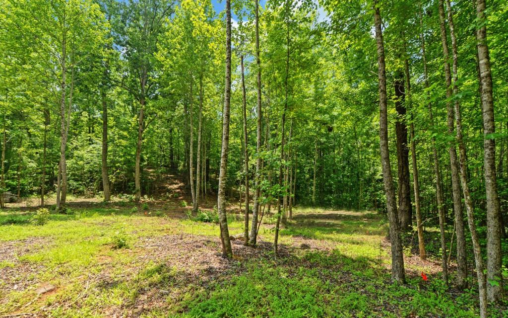 6755 Jake Kemp Road Murrayville, GA 30564 - Photo 13 of 22 a view of a park with a tree