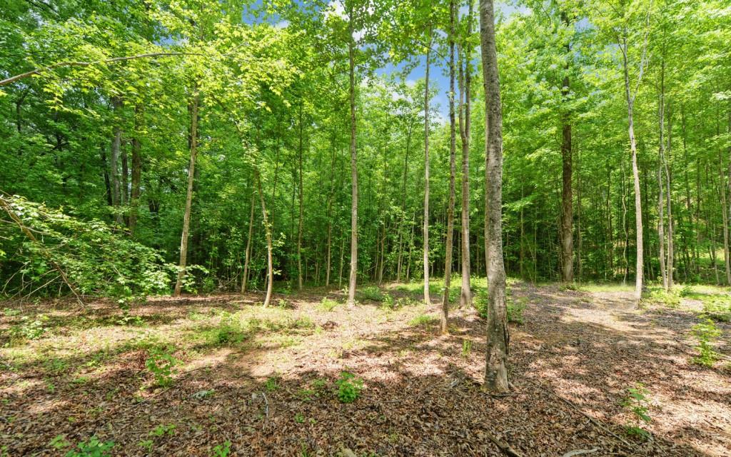 6755 Jake Kemp Road Murrayville, GA 30564 - Photo 15 of 22 a backyard of a house with lots of green space
