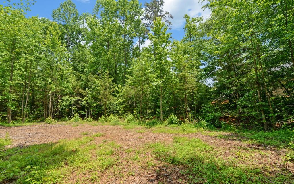 6755 Jake Kemp Road Murrayville, GA 30564 - Photo 21 of 22 a view of a yard with a tree