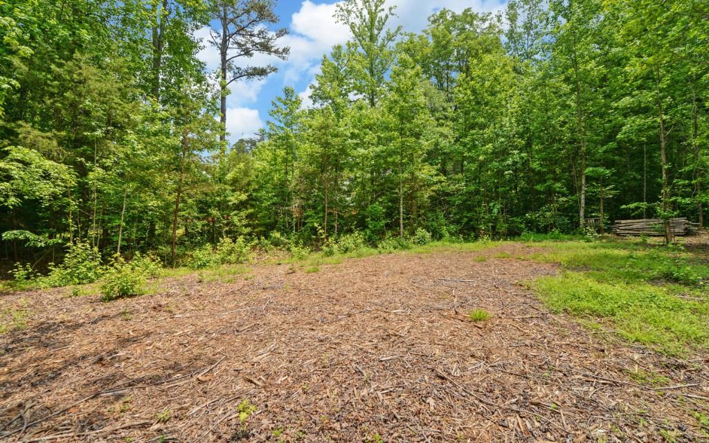 6755 Jake Kemp Road Murrayville, GA 30564 - Photo 22 of 22 a view of a yard with a tree
