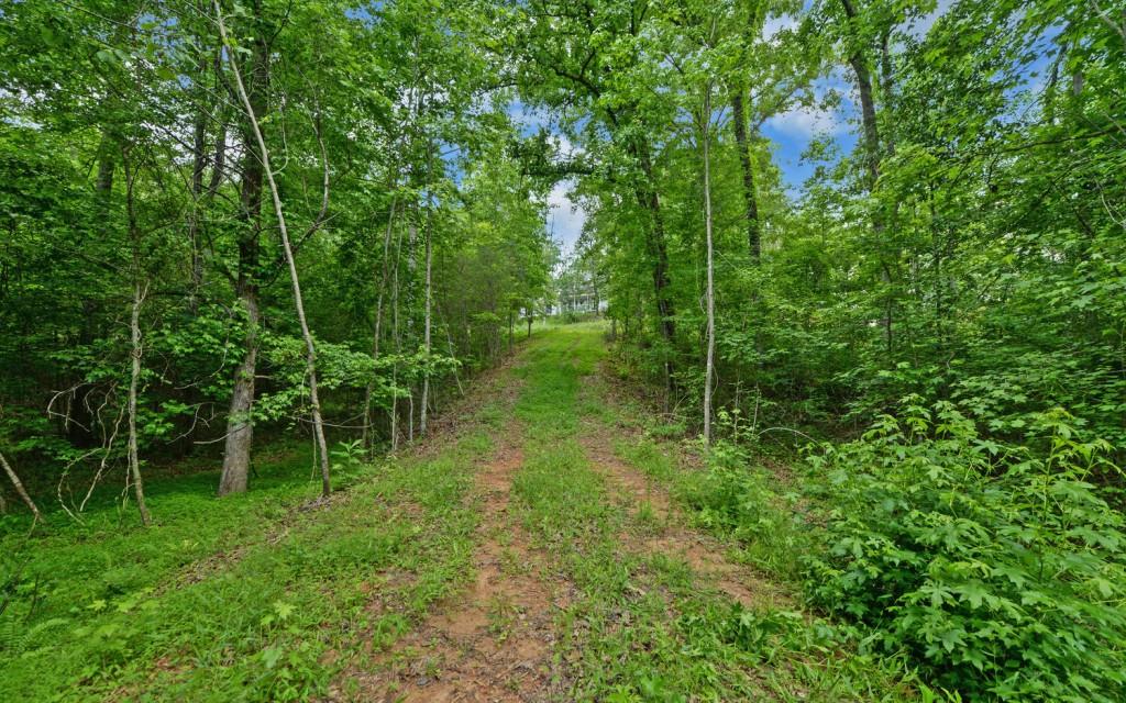6755 Jake Kemp Road Murrayville, GA 30564 - Photo 9 of 22 a view of a backyard