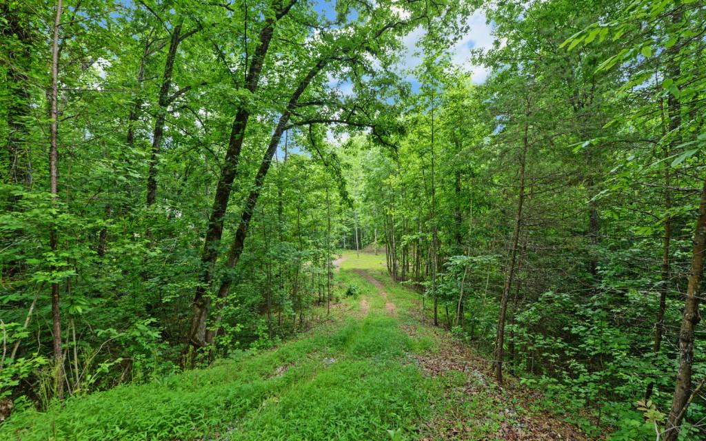 6755 Jake Kemp Road Murrayville, GA 30564 - Photo 10 of 22 a view of a lush green space