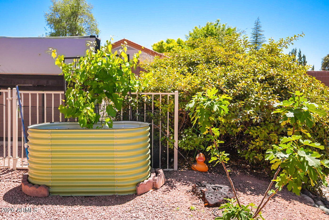 715 South Wandering River Road Cornville, AZ 86325 - Photo 52 of 55 40-web-or-mls-DSC08534