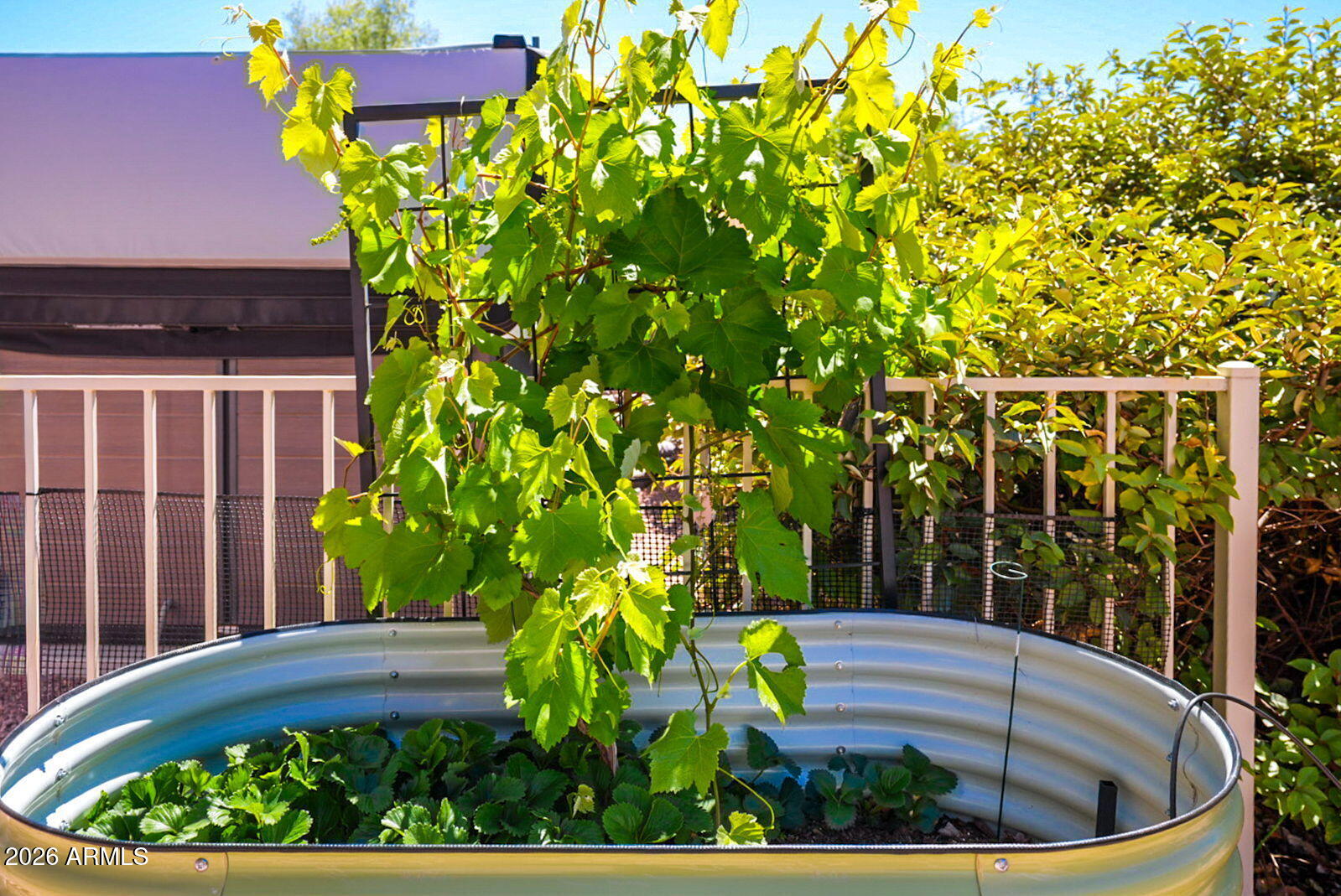 715 South Wandering River Road Cornville, AZ 86325 - Photo 53 of 55 41-web-or-mls-DSC08536