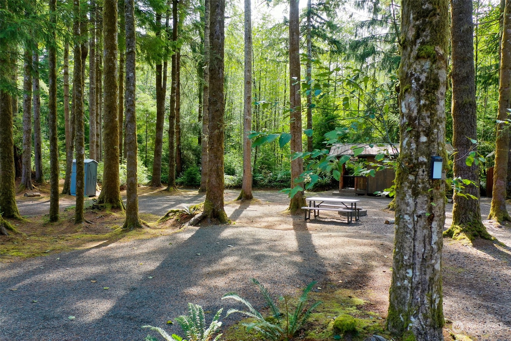 1171 Big Pine Way Forks, WA 98331 - Photo 35 of 40 a view of a park with benches and a bench