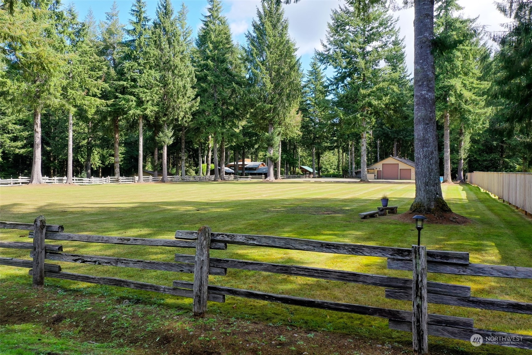 1171 Big Pine Way Forks, WA 98331 - Photo 40 of 40 a view of a park with large trees
