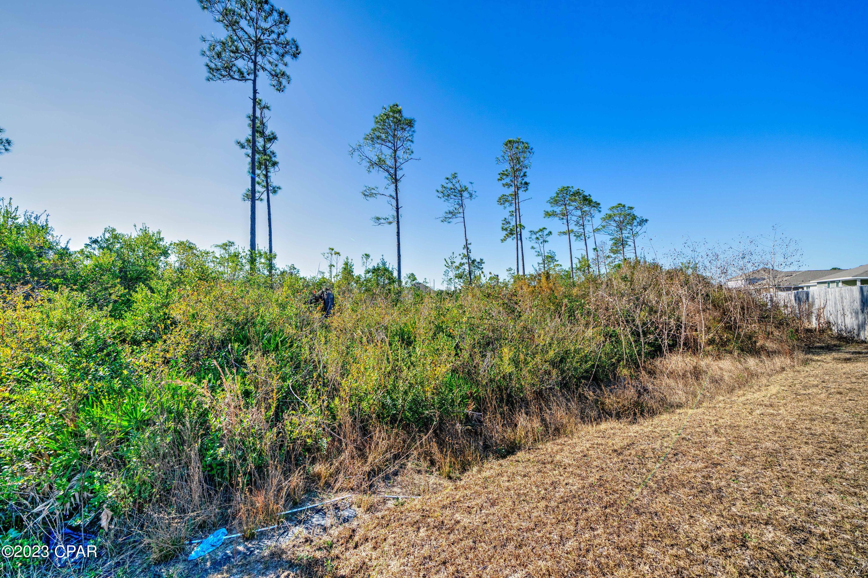 144 Merrion Road Southport, FL 32409 - Photo 8 of 49 Gallery Image 8